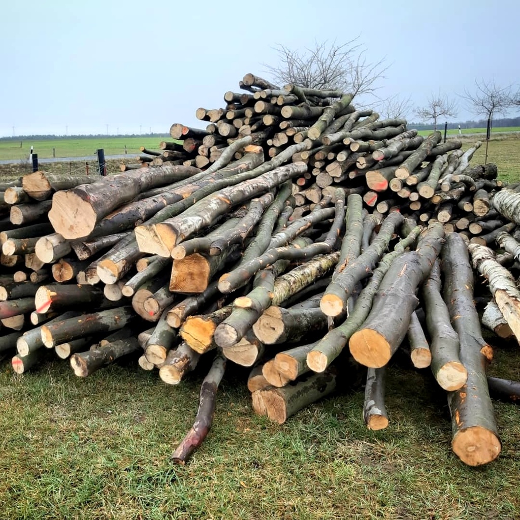 Brennholz Kaminholz Buche